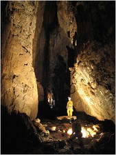 Thumbnail of photo from this article